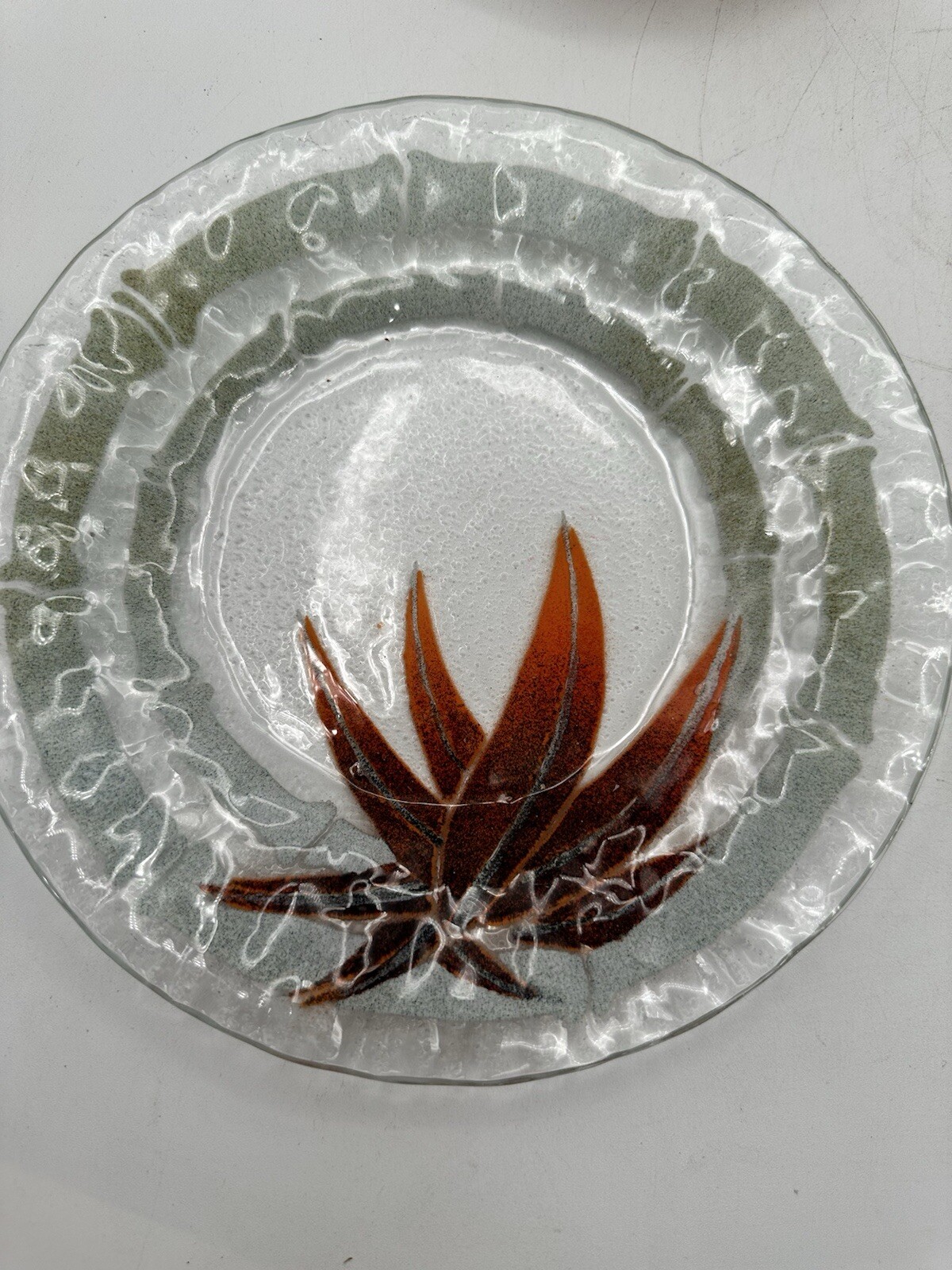 Fused Glass Plate And Bowl Set Of Four Bamboo Style Edging With Red Agave Plant 