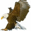 Mid-American Rare Coin Galleries