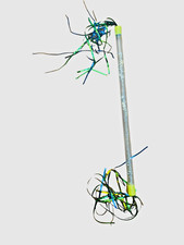 Dance Baton,Batons for Twirling 22/29 Inches Stainless Steel Material Gymnastics