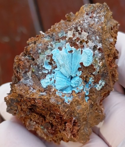 Shattuckite goethite and quartz - Tantara mine DRC Congo - Picture 12 of 12
