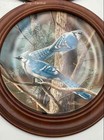 Knowles Kevin Daniel Bird Wall Decor Framed Collector Plates Lot Of 3 w/COA — photo 2