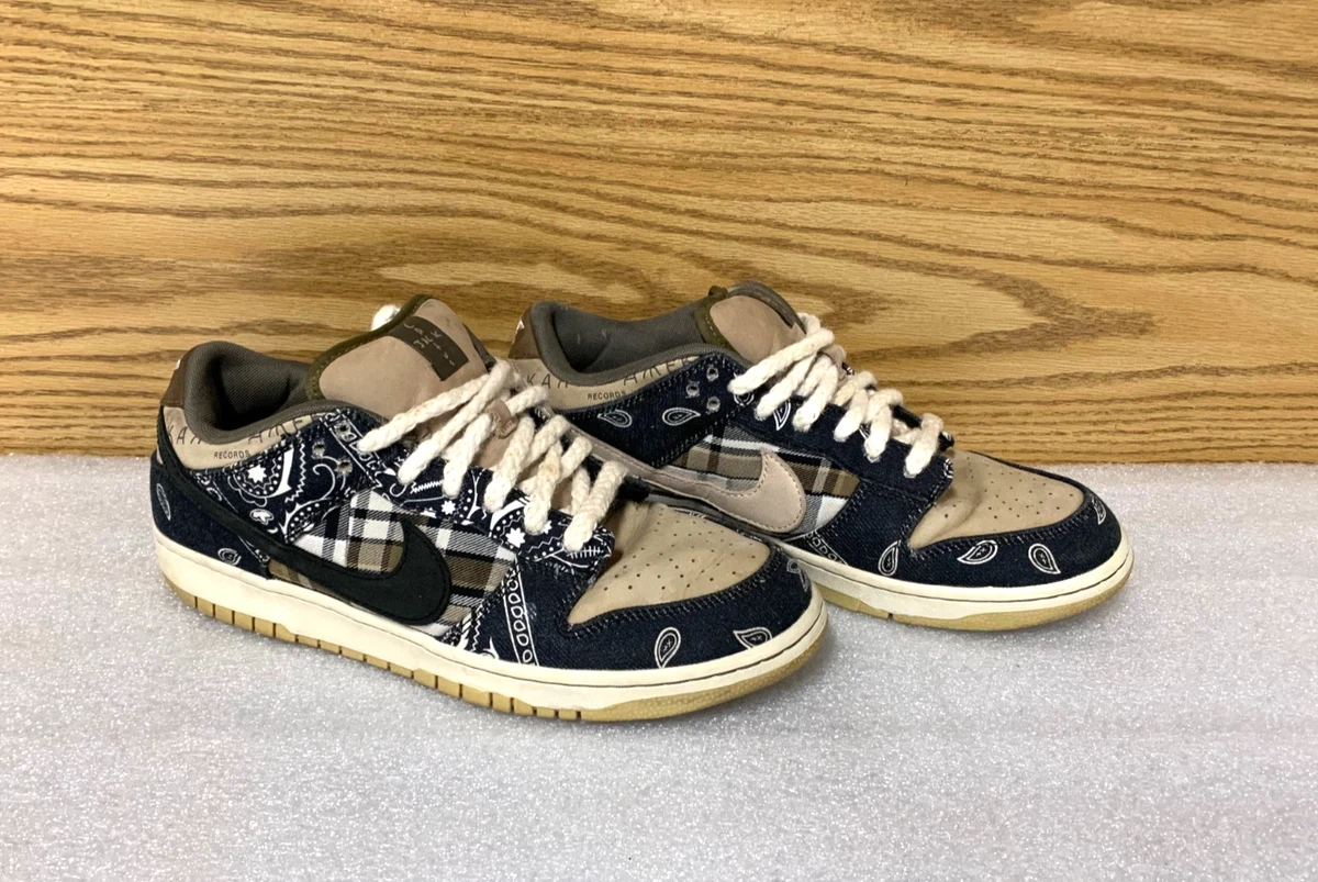 Nike Dunk Pro SB Low Cactus | eBay