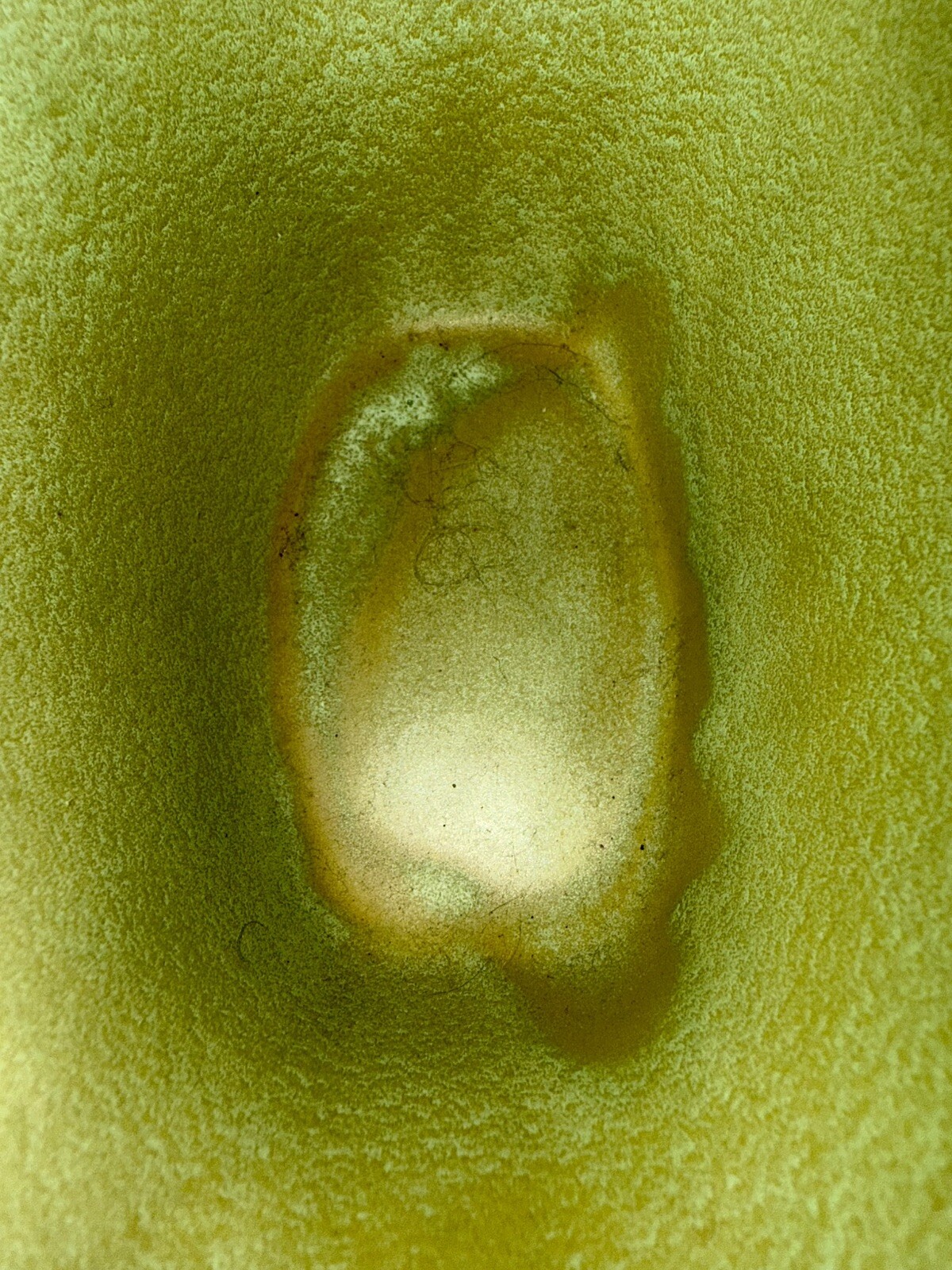Picture 10 of 11