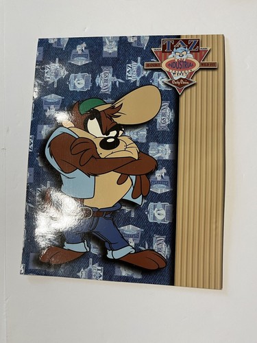 4 VTG 1996 & 1997 Looney Tunes Stuart Hall 2 Pocket School Folders Warner Bros. - Picture 11 of 22