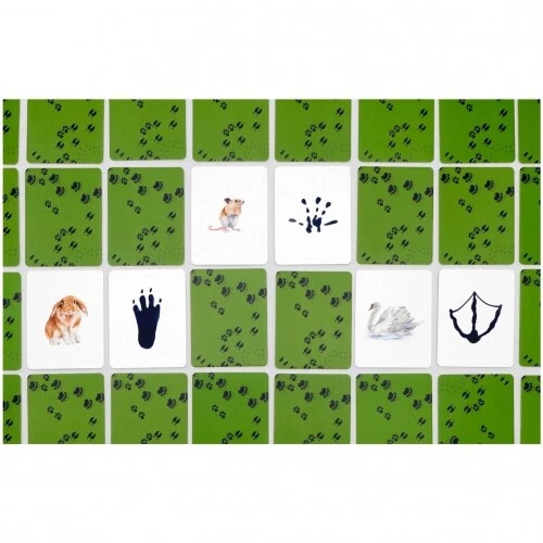 Animales En Tu Entorno - Alemán - Imagen 2 de 4