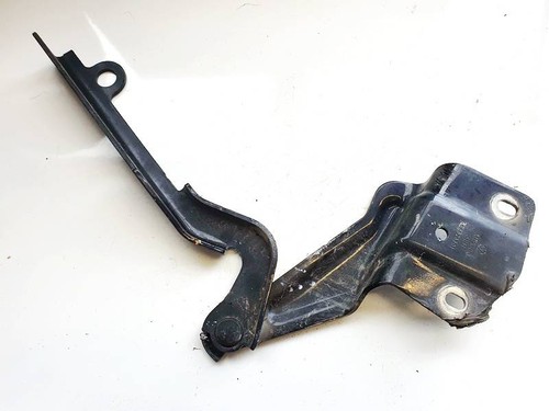 Hood hinges