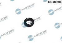 Dichtring, Einspritzventil FÜR Volvo V70 II (285) - Dr.Motor Automotive DRM0306