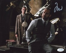 Jude Law Fantastic Beasts Dumbledore Autographed Signed 8x10 Photo ACOA