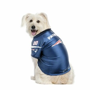 patriots dog jersey