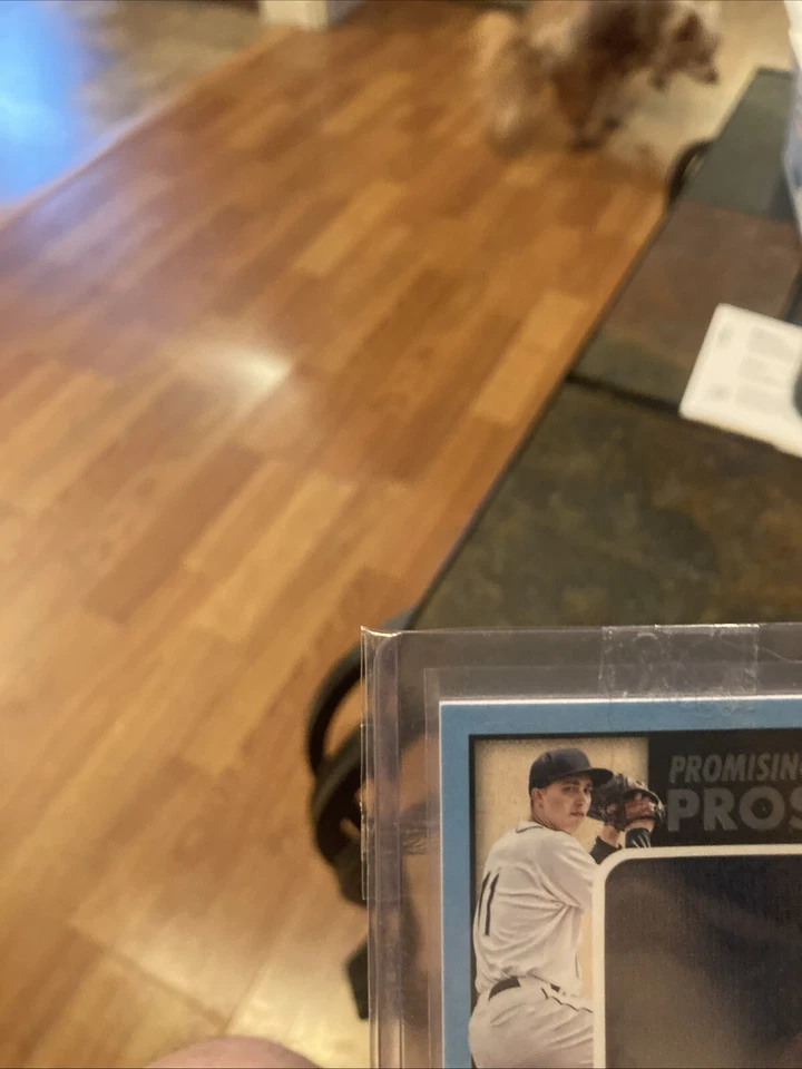 2016 Panini Donruss -prom.pro Signatures #PPMS-BS Blake Snell /199 (AU, MEM, RC) - Изображение 3 из 4