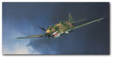 TIGRE! por Jack Fellows - P-40 Warhawk - Impresión de arte de aviación - Edición de impresión abierta