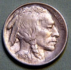 1913 P United States Buffalo Nickel 5 Cent Coin - AU With Full Horn Lot 1350