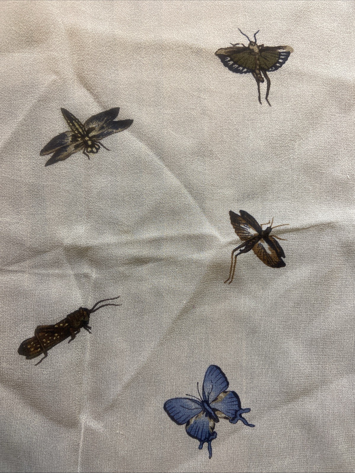 Rare Echo Square Scarf Sheer Insect Pattern Bees,… - image 3