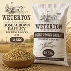 12.5kg Home-Grown Barley Feed for Hens and Ducks – Clean Natural Poultry Grain
