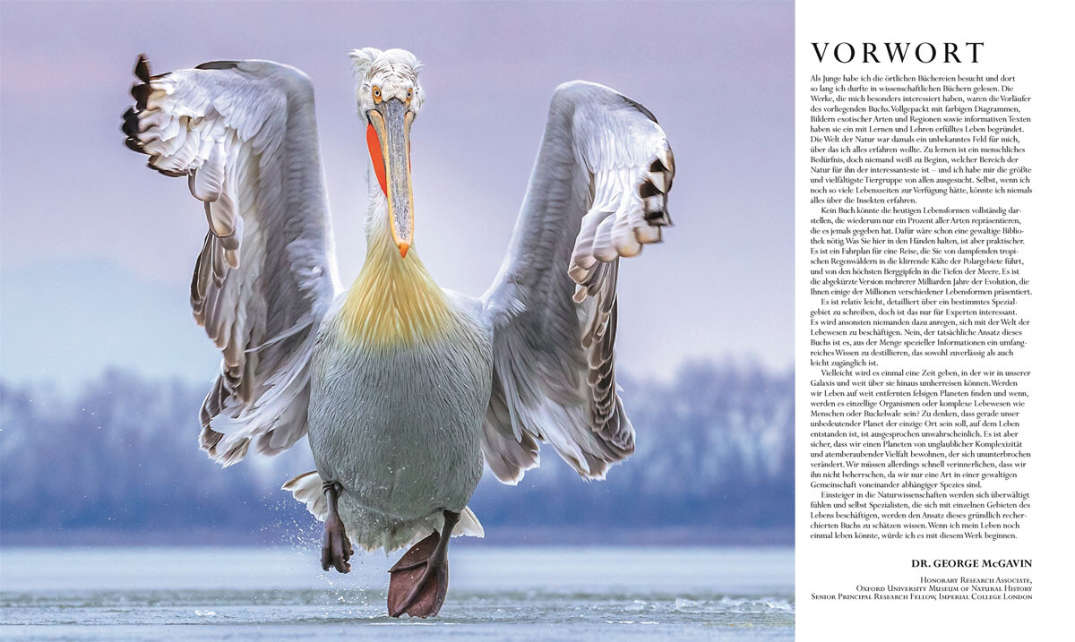 Thumbnail - Die Natur In Über 5000 Fotos. Die Visuelle Enzyklopädie Der Pflanzen,