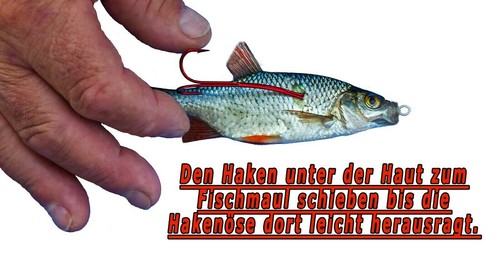 3Doppelhaken ZH20B für Bavaria Köderfischsystem Haken Gr: 2/0, Hakenform: Banane - Bild 10 von 12