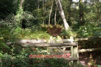 PHOTO  FINCHAMPSTEAD - WARREN WOOD ENTRANCE TO THE FOOTPATH THROUGH WARREN WOOD