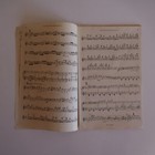 Picture 3 of 12