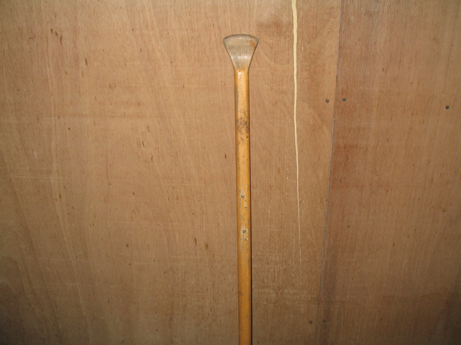 Picture 6 of 8