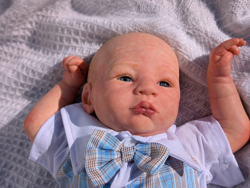 Reborn baby boy. Lillebror by Sabine Altenkirch. Limited edition - Picture 9 of 19