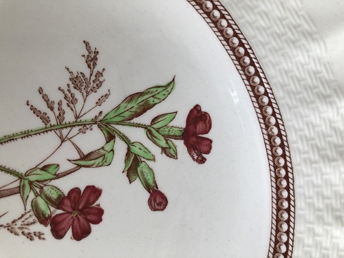 Set Of 4 Copeland Spode Rosalie Dinner Plates 10 1/2" - Picture 3 of 8
