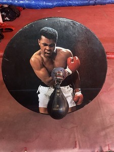 Boxing Speed Bag Platform & Wall Mount 