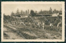 Varese Olgiate Olona PIEGHINA cartolina QK5811