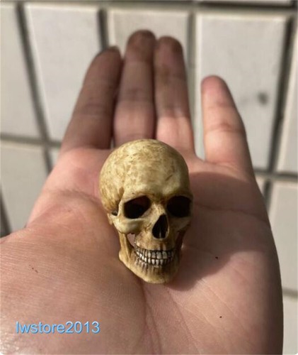 1:6 Scale 4cm Skeleton Skull Head Sculpt Model Props For 12" Action Figure Toys - Picture 8 of 8