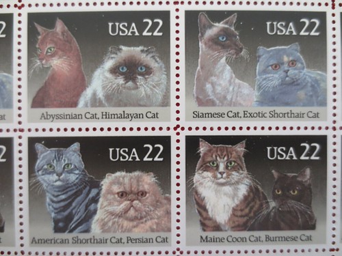 Doc's Scott #2372-75 Katzen Siam & Exotisch Kurzhaar 22 ¢ Blatt 40 1988 postfrisch XF - Bild 3 von 4
