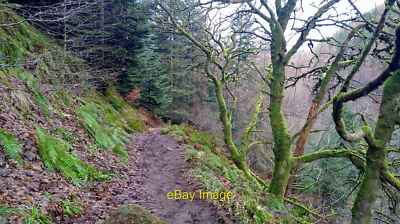 Foto 6x4 Pfad am steilen Abstieg von Sauchie Craig nach Windy Yet Glen c2022