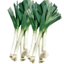 500pcs+ Wide-leaf Leek Seeds for Four Season Planting, 宽叶蒜苗种子