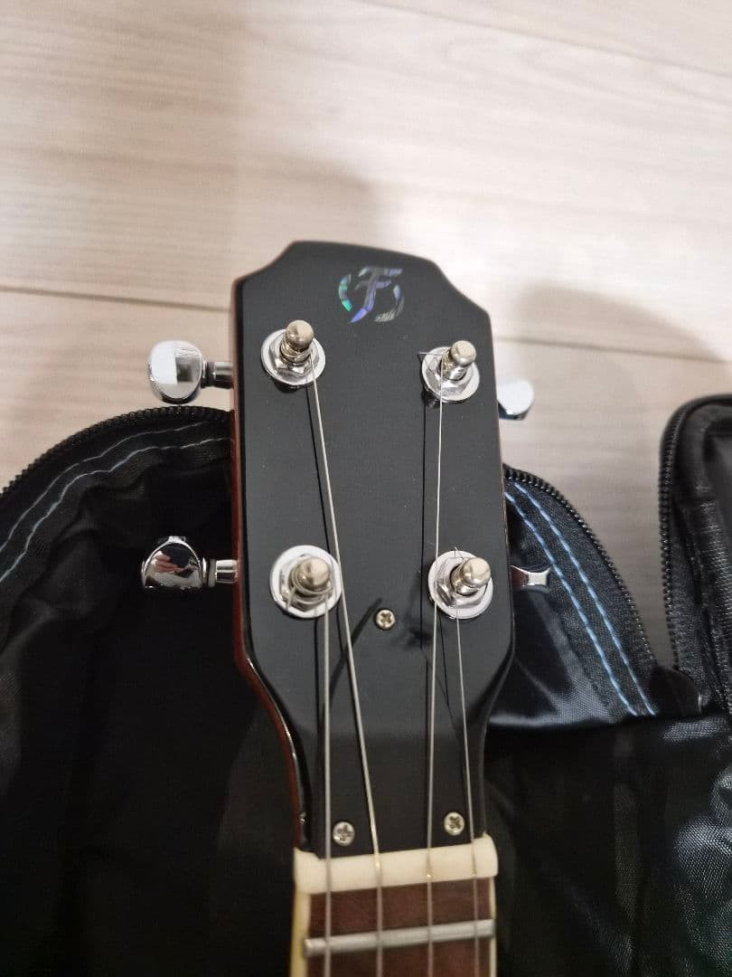 Flight Electric Ukulele Vanguard Trans Black Fur-Vg-Tbk | eBay