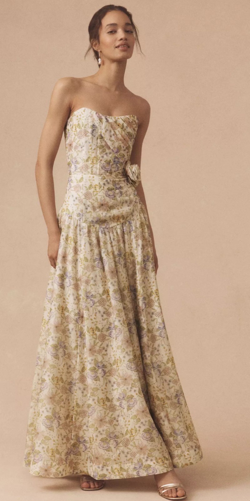 Anthropologie V. Chapman Rosamund Organza Corset Drop-Waist Dress Size 6 US NWT
