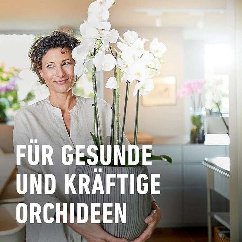 Bild 7 von 9