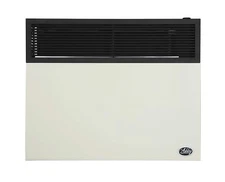 Ashley Hearth DVAG30N 25000 BTU Direct Vent Natural Gas Heater