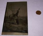 Unique Antique Vintage Postcard - Bucking Bronco — photo 2