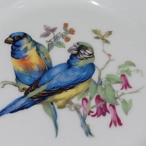 PARROT MOTIF JKW WESTERN GERMANY FINE PORCELAIN GOLD TRIMMED PLATE SALAD DISPLAY - Picture 2 of 3