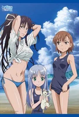 A Certain Magical Index III Tapestry Index Mikoto Kaori B2