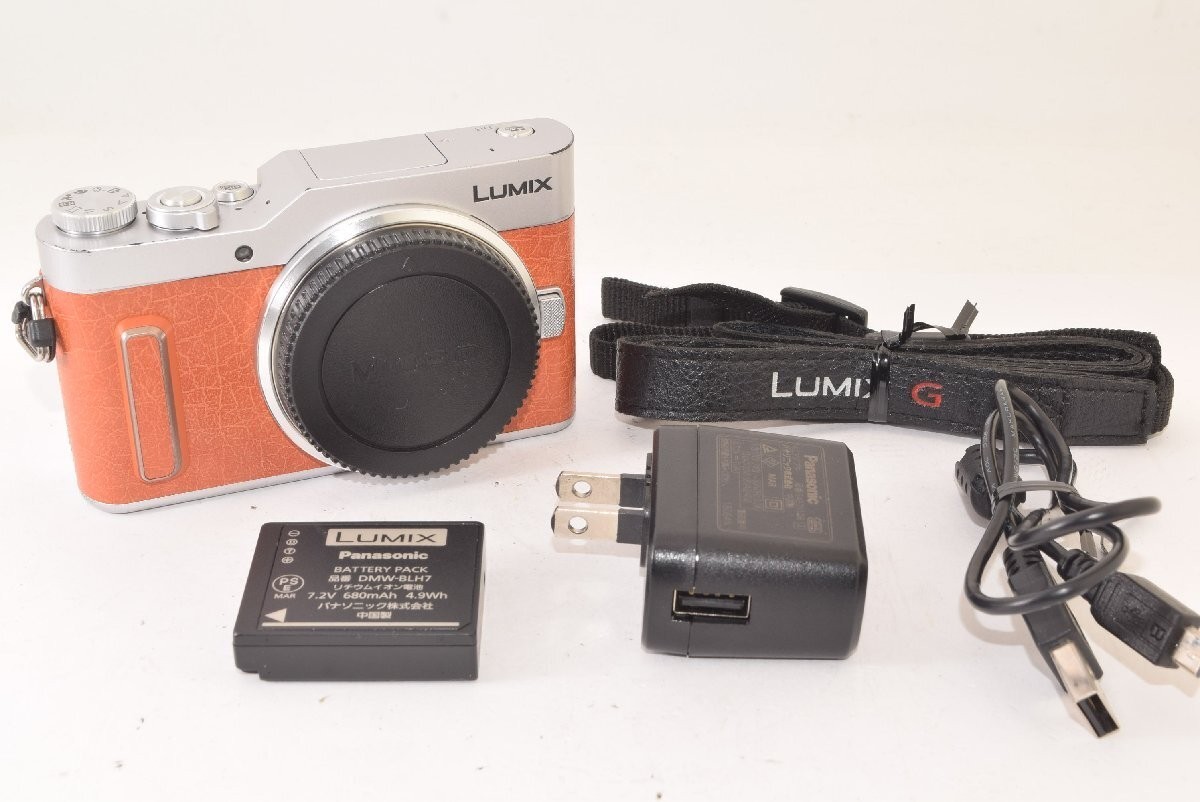 PANASONIC DC-GF10 ORANGE BODY 1224 SHOTS MIRRORLESS CAMERA SELF-PORTRAITS ORANGE