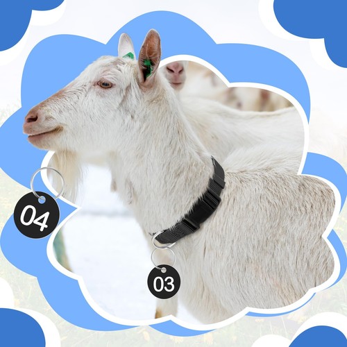 Paquete de 12 collares de cabra con etiqueta numérica ajustable collar de ganado de nailon con N... - Imagen 6 de 6