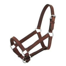 Tough1 Royal King Mini Leather Halter Adjustable Miniature Horse Show Halter