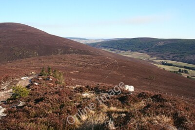 Photo 6x4 Looking down Roy's Hill Benrinnes Wood This is the continuation c2011