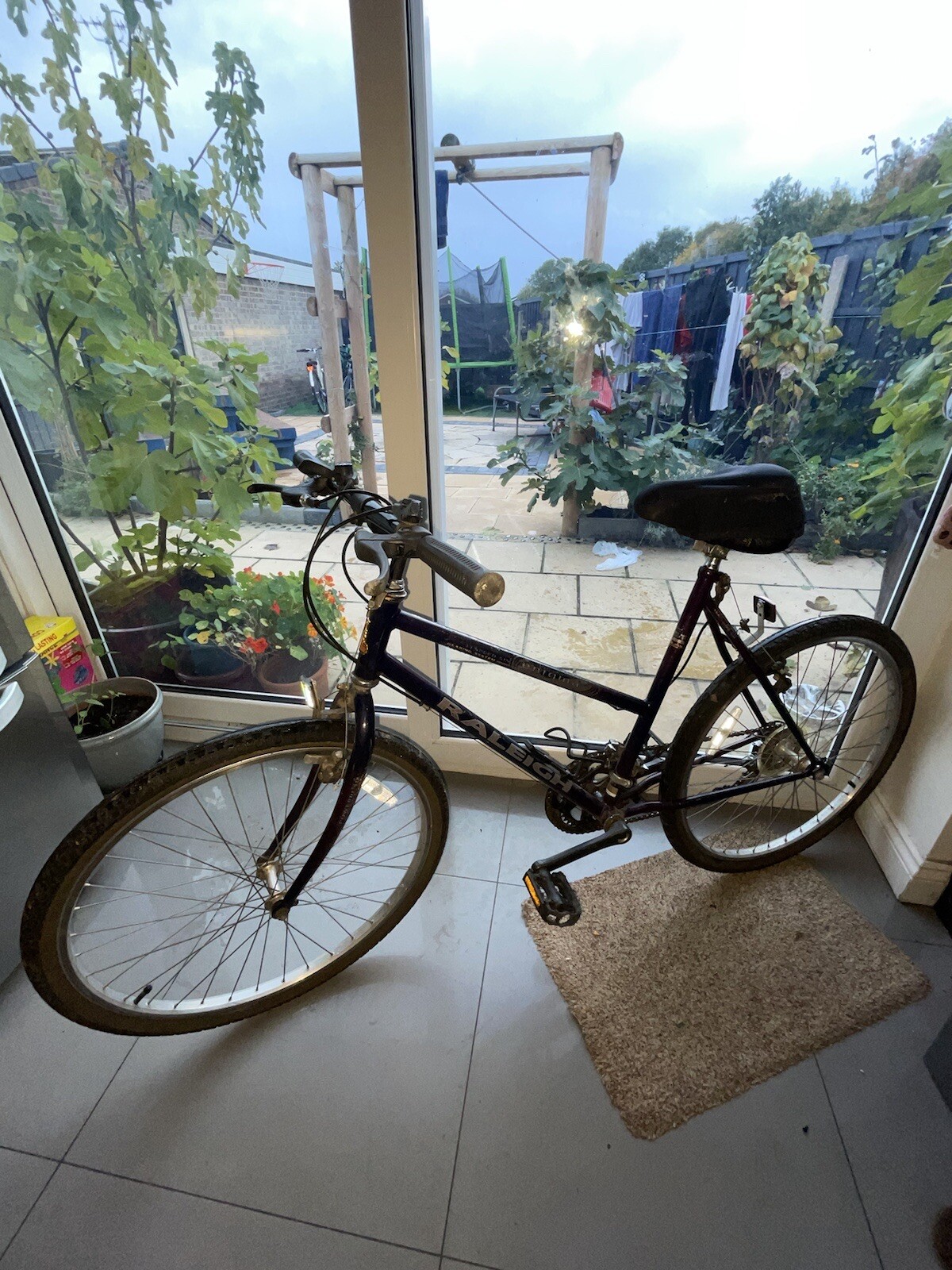 raleigh montana ladies bike