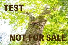TEST LISTING – NOT FOR SALE