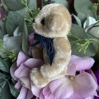 Bild 7 von 10
