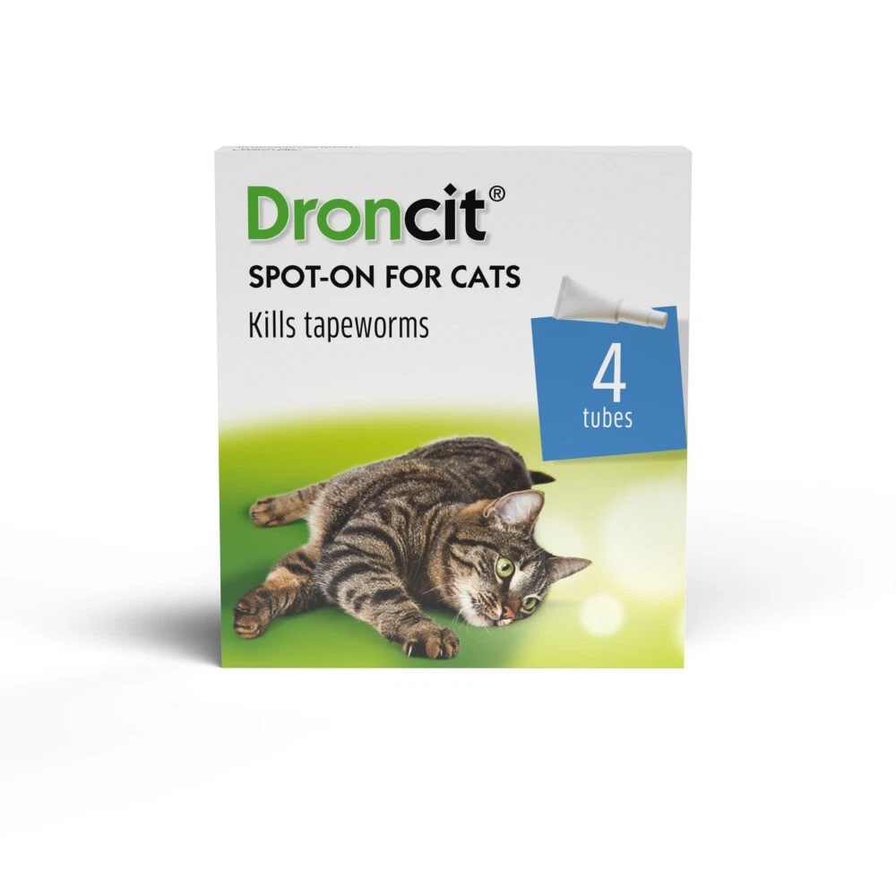 Diy tapeworm shop treatment for cats