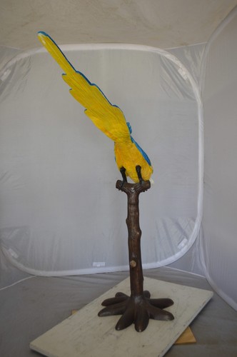 Parrot on Tree - Head Down Bronze Statue - Size: 39"L x 15"W x 47"H. - Picture 6 of 12