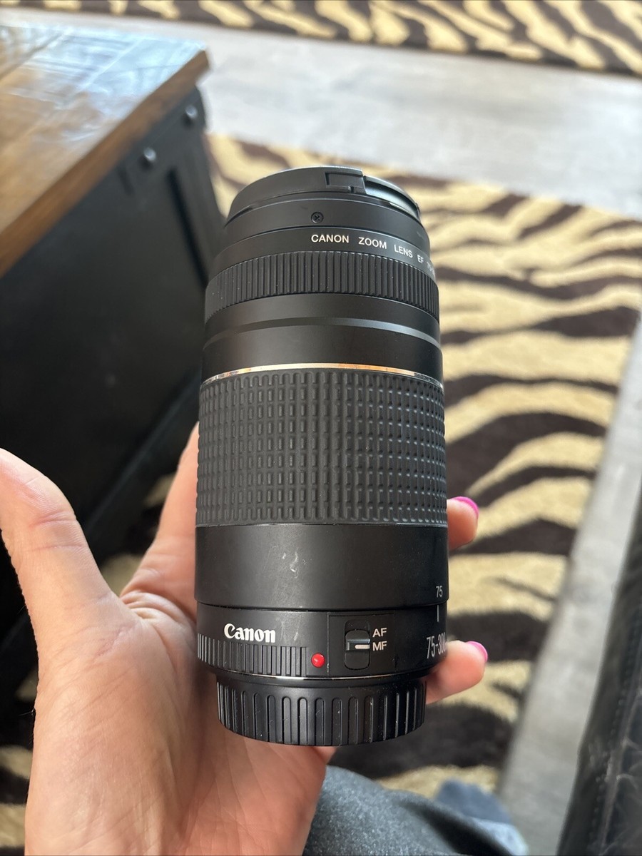Canon EF 75-300mm f/4.0-5.6 IS USM Lens 82966213236| eBay