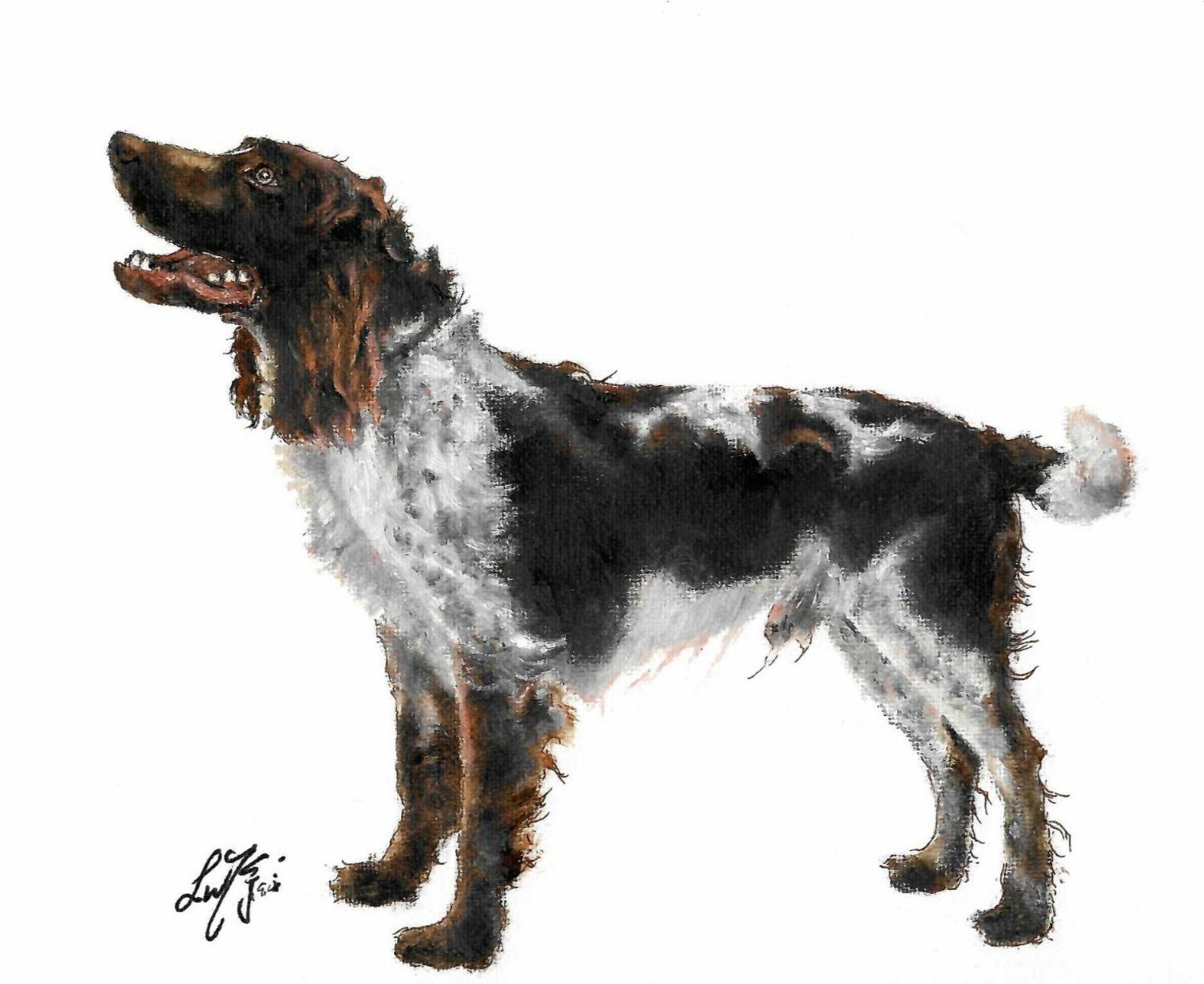 ✤ ORIGINAL Oil Portrait Painting GERMAN SPANIEL Artist Signed Dog Art on Canvas