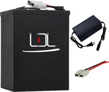 60V 40Ah LiFePO4 Battery Pack for 0-2500W Power Motor with 50A BMS